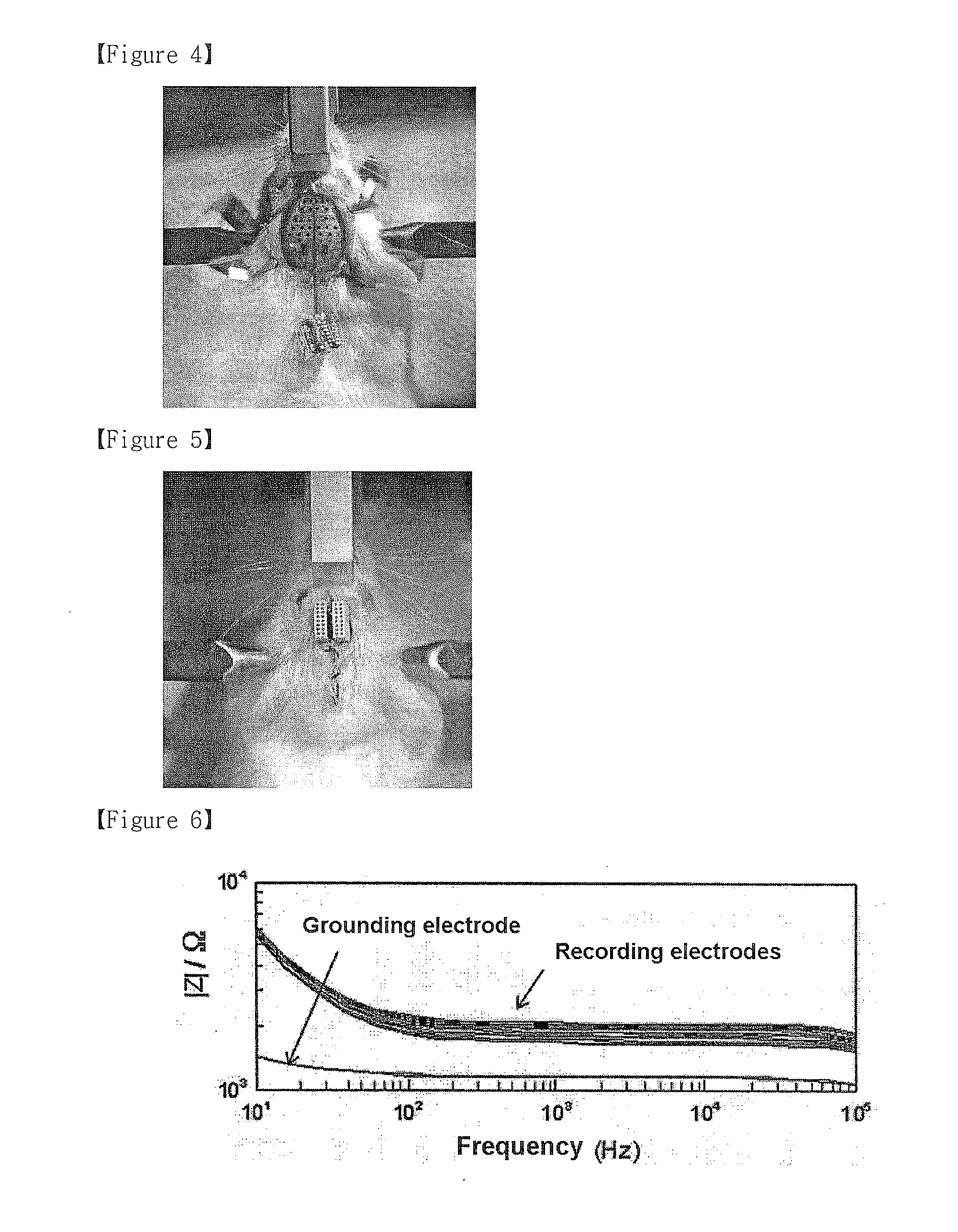 Flexible, multi-channel microelectrode for recording laboratory animal eeg and method for recording laboratory animal eeg using the same