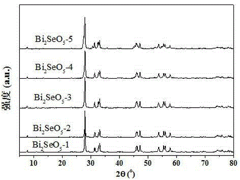 Novel bismuth selenate photocatalyst, and preparation method and application thereof
