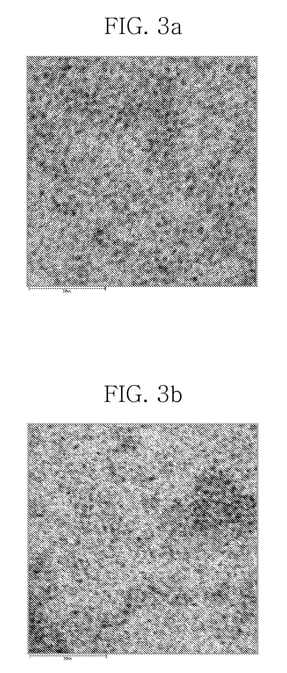 Method for preparing metal phosphide nanocrystal from phosphite compound and method for passivating nanocrystal core with the same