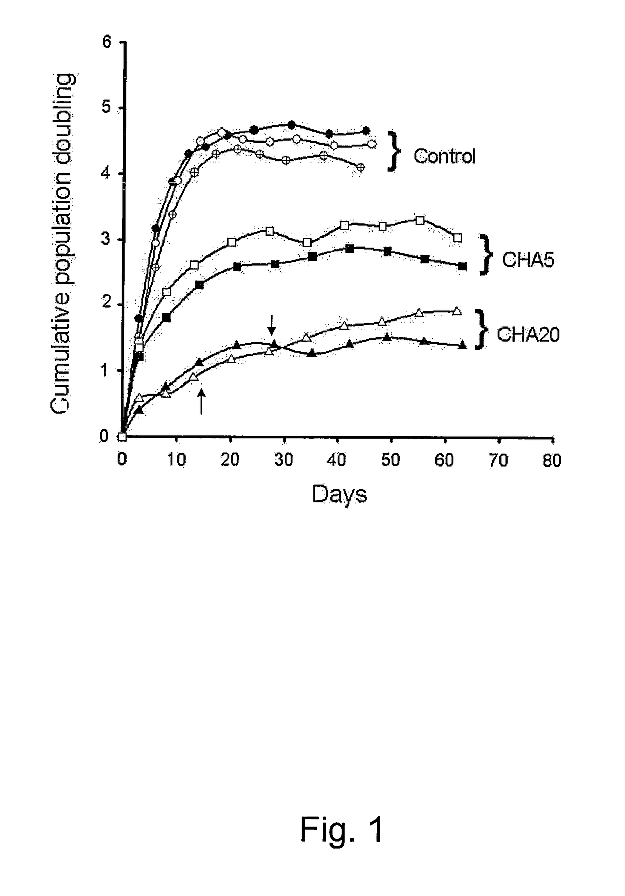 Method for preserving proliferation and differentiation potential of mesenchymal stem cells