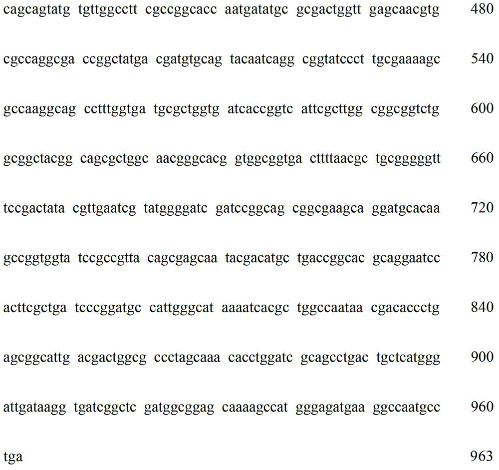 Recombinant Escherichia coli, and method for preparing phospholipase A1 through using recombinant Escherichia coli