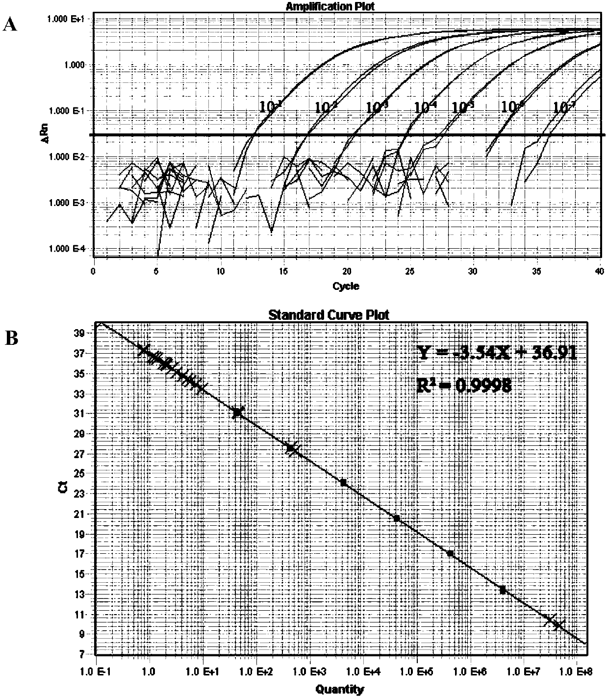 Kit and detection method for absolute quantitative detection of vibrio parahaemolyticus