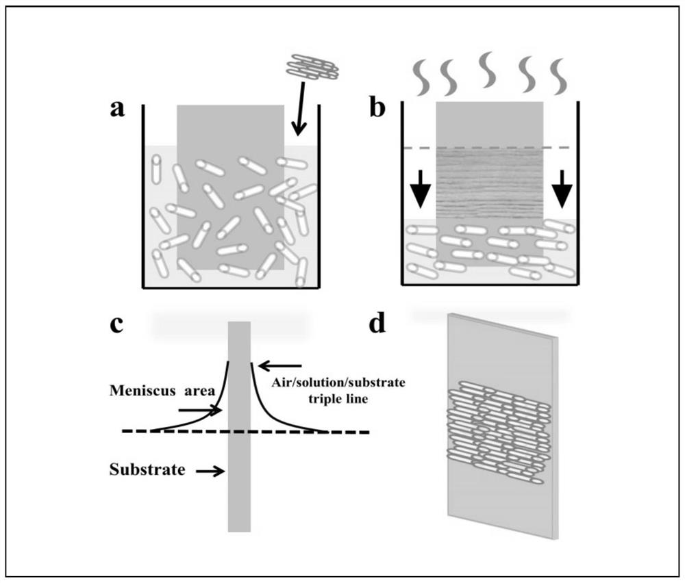 Method for directionally arranging halloysite nanotubes on large scale