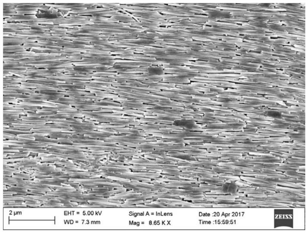 Method for directionally arranging halloysite nanotubes on large scale