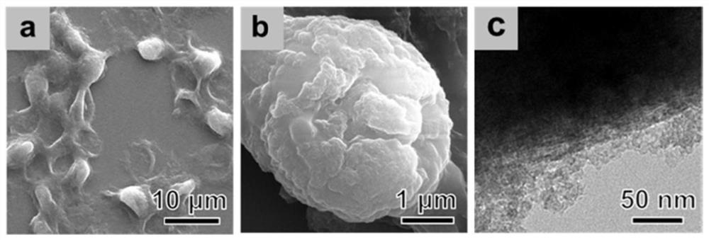 a kind of mnsio  <sub>4</sub> /yeast biohybrid material and its preparation method and application