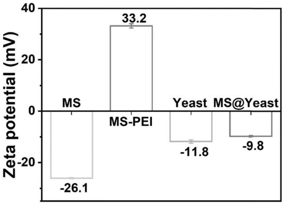 a kind of mnsio  <sub>4</sub> /yeast biohybrid material and its preparation method and application