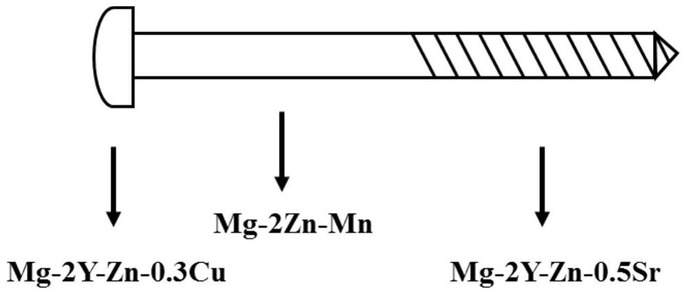 A multi-component degradable magnesium alloy material and its preparation method and application
