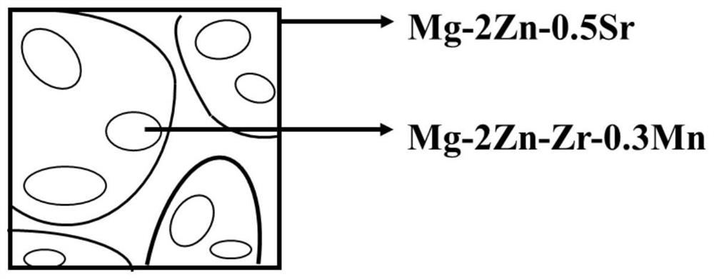 A multi-component degradable magnesium alloy material and its preparation method and application