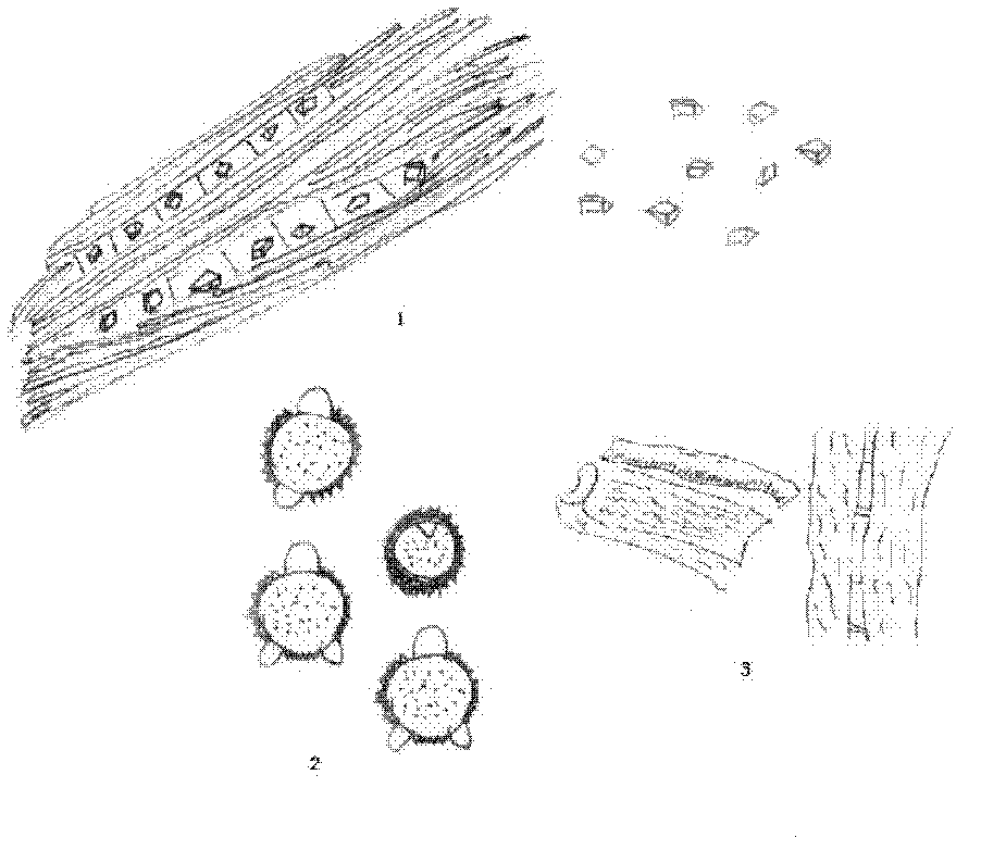 Detection method of Jiuwei Zhuhuang preparation