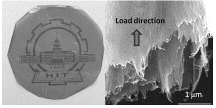 Preparation method of carbon nano tube-Kevlar nanofiber composite film