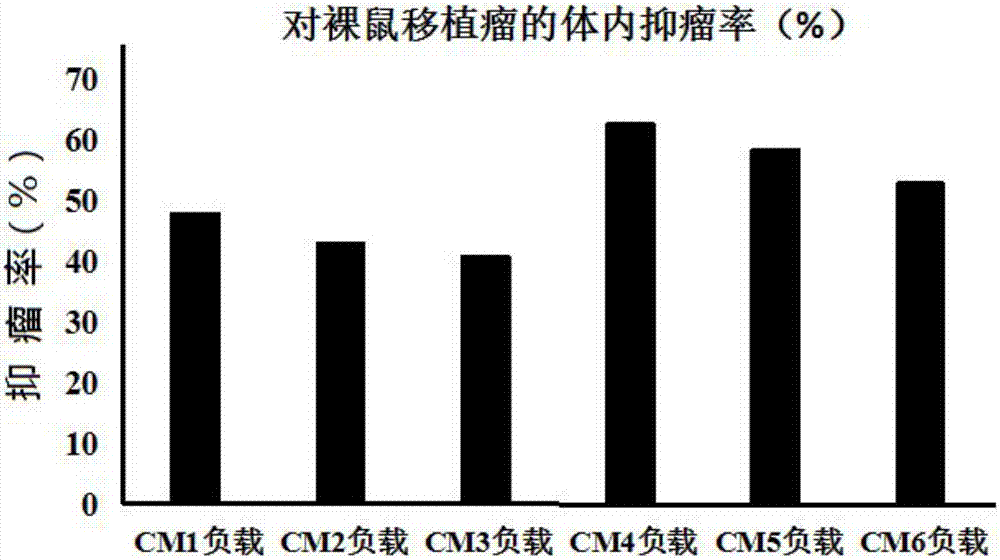 Exosome serving as mesenchymal stem cell source and having anti-cancer effect and medicinal preparation thereof