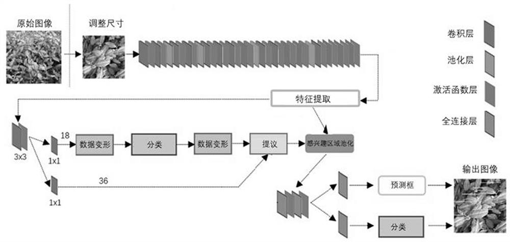 Tea tree freeze injury assessment method and system based on computer vision