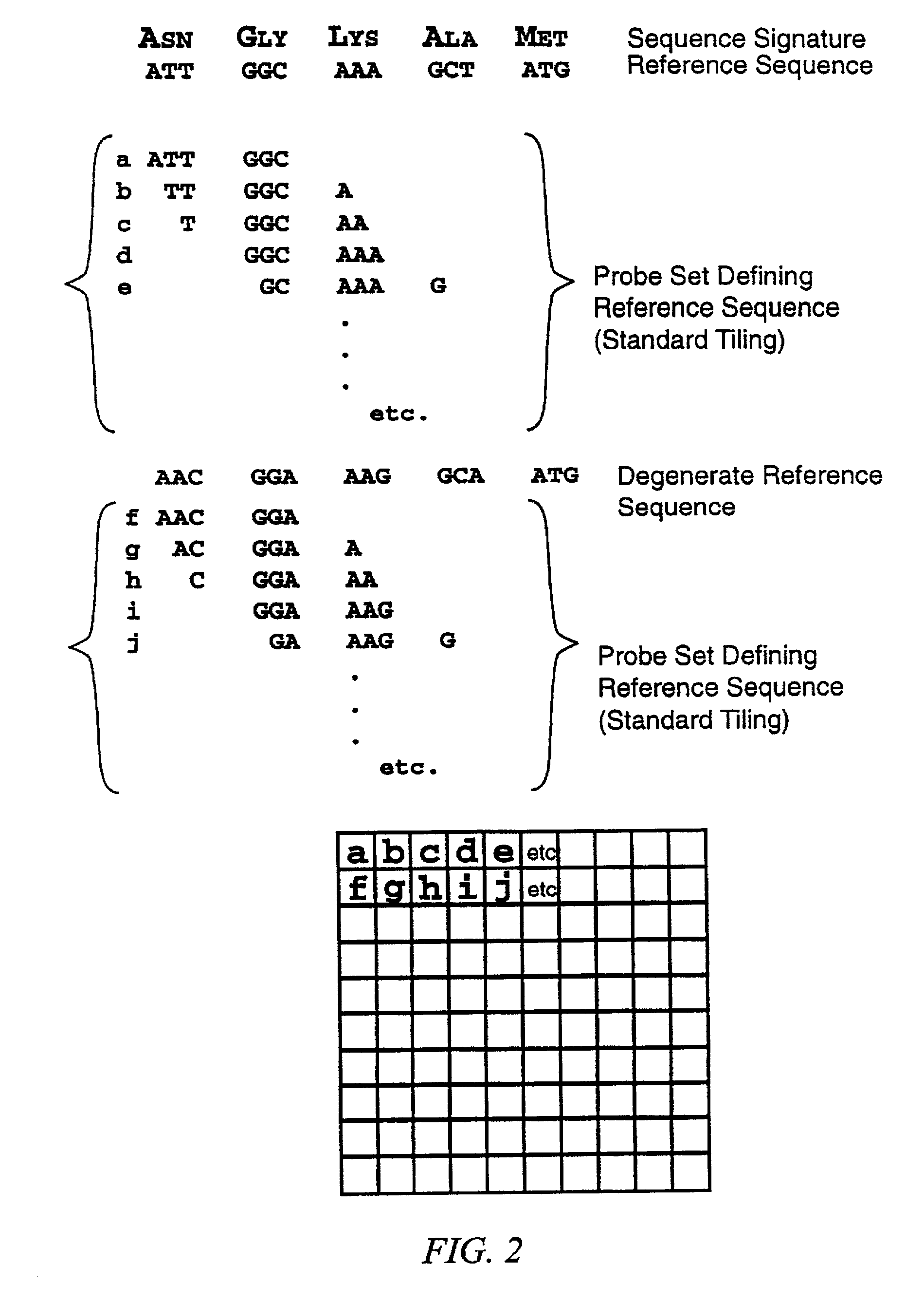 Identification of molecular sequence signatures and methods involving the same