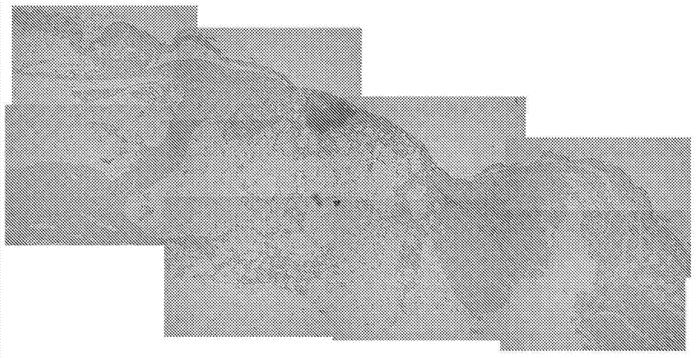 Material for tissue regeneration, aqueous protein solution containing same, and method for gelling same