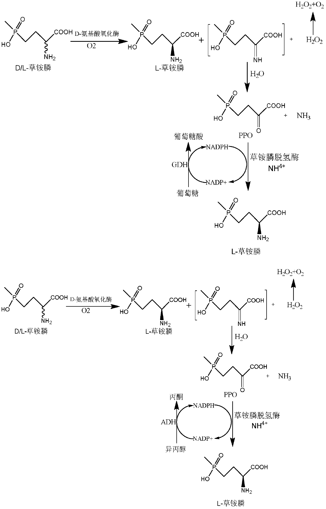 Glufosinate-ammonium dehydrogenase mutant and application thereof to production of L-glufosinate-ammonium through oxidation-reduction of multienzymes