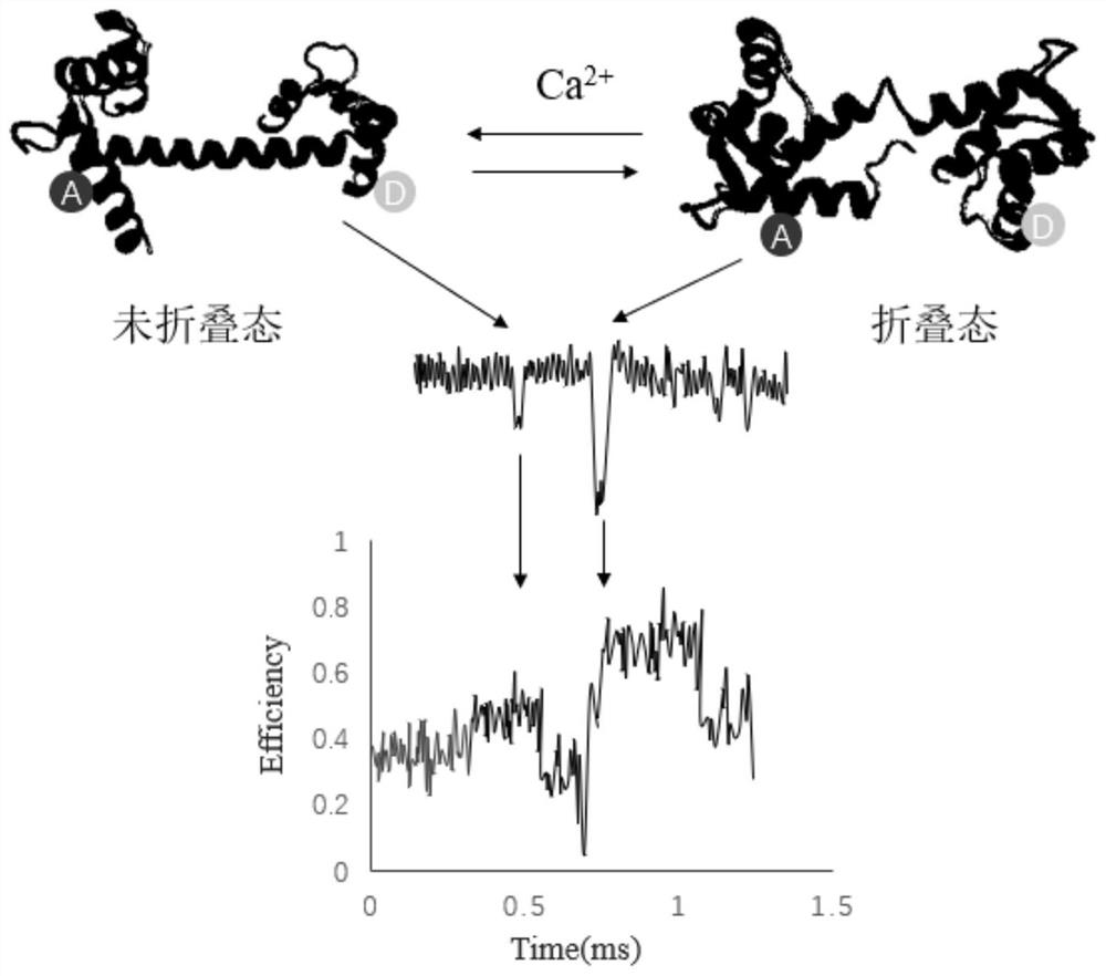 Solid nanopore-fluorescence resonance energy transfer composite detection method and system