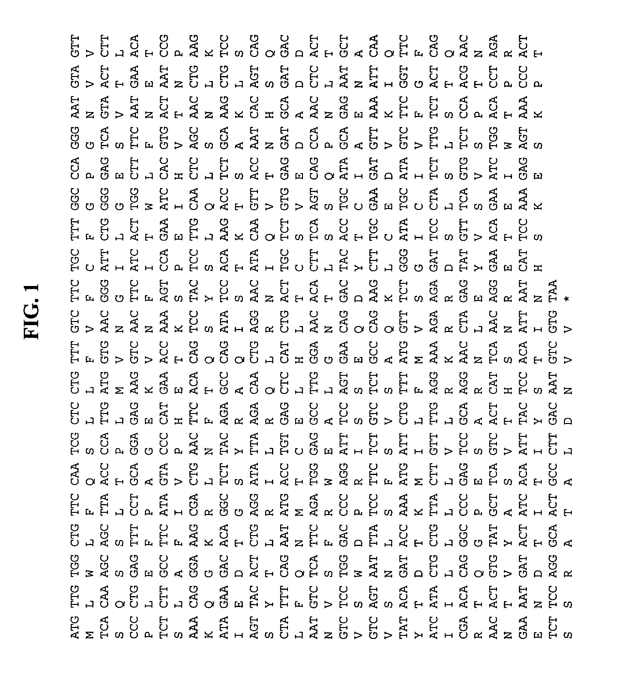 Methods of therapy and diagnosis using immunotargeting of CD84Hy1-expressing cells