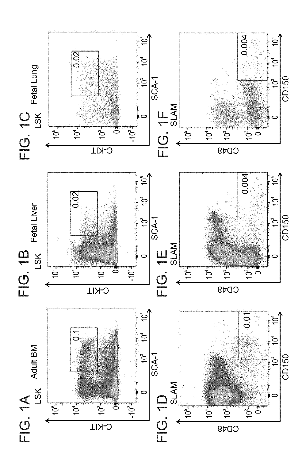 Methods of using pulmonary cells for transplantation and induction of tolerance