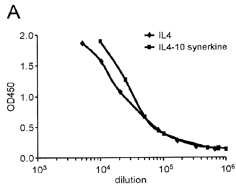 Fusion protein comprising an interleukin 4 and interleukin 10