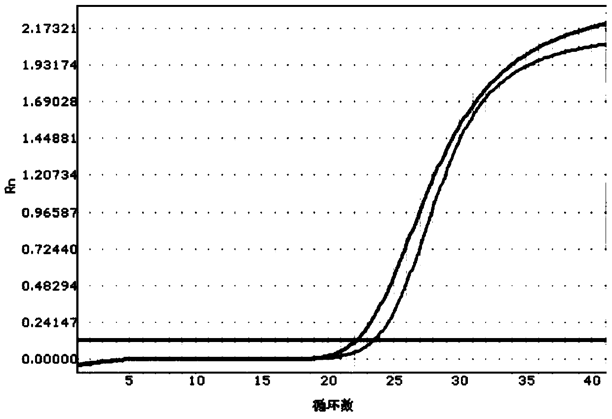 Kit for quickly detecting polymorphism of human CYP2C19 gene and using method of kit