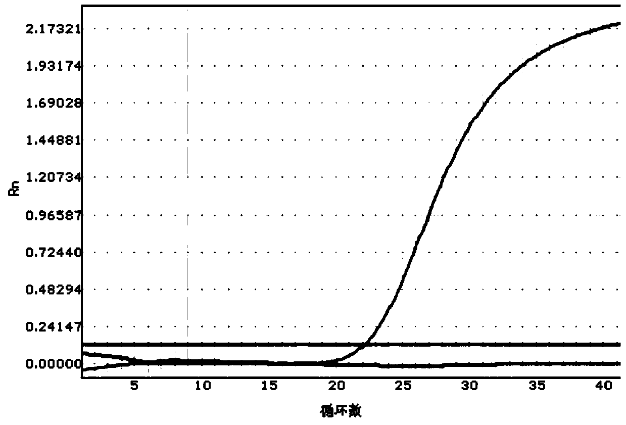 Kit for quickly detecting polymorphism of human CYP2C19 gene and using method of kit