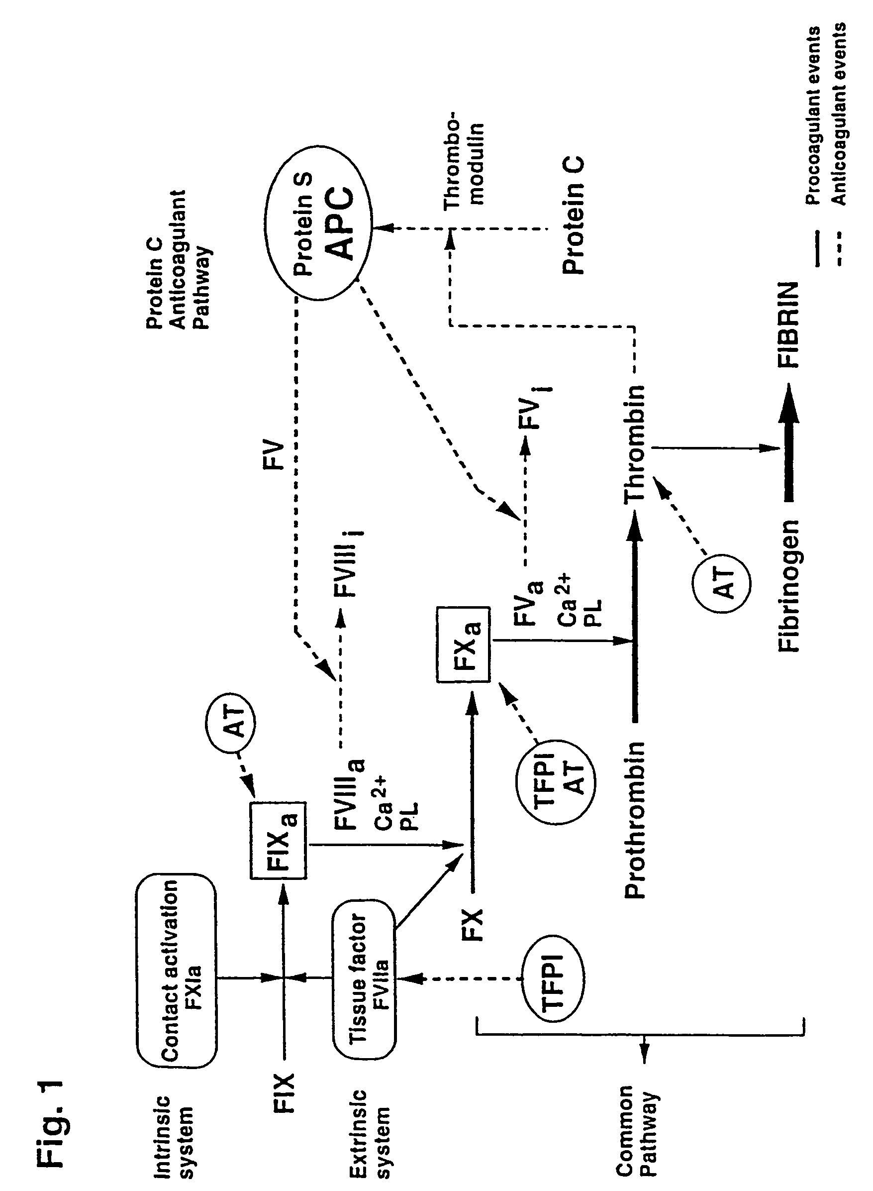 Kits for screening for blood coagulation disorders