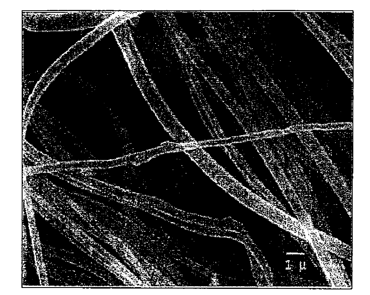 Metal oxide fibers and nanofibers, method for making same, and uses thereof