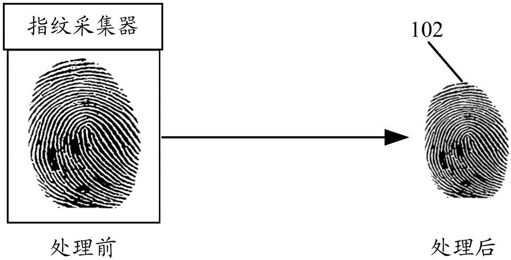 Method and device for fingerprint identification