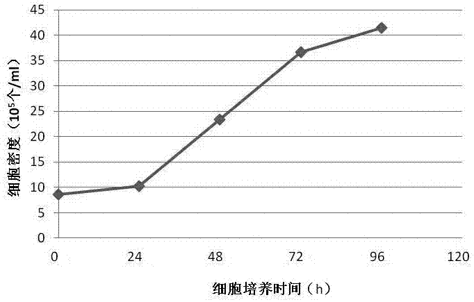 A monkey embryo kidney epithelial cell marc-145 suspension adapted strain and its application in culturing PRRS virus and producing PRRS virus vaccine