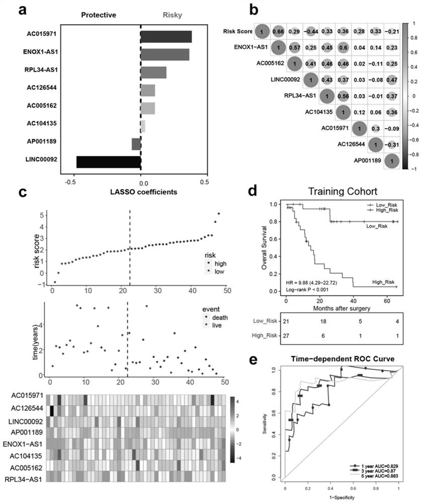 Application of immune-related lncRNA expression profile in prediction of benefit and prognosis of small cell lung cancer adjuvant chemotherapy