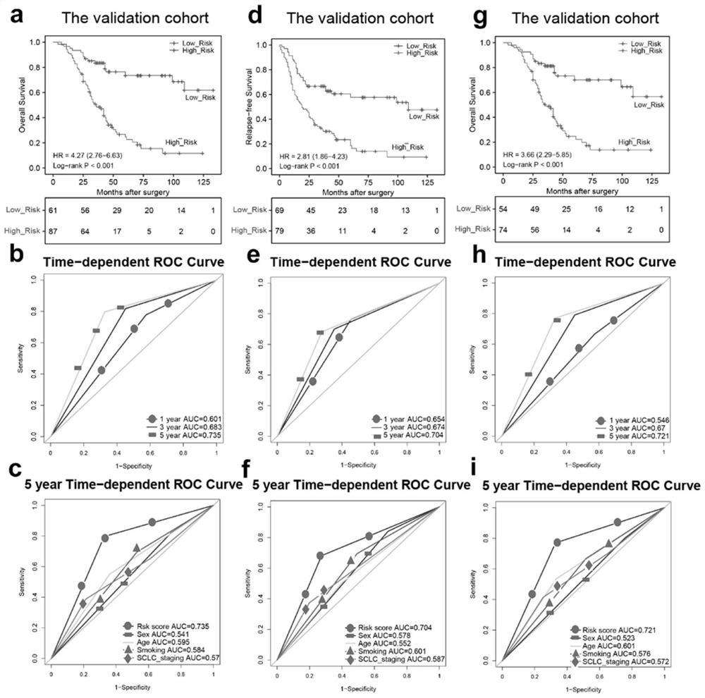 Application of immune-related lncRNA expression profile in prediction of benefit and prognosis of small cell lung cancer adjuvant chemotherapy