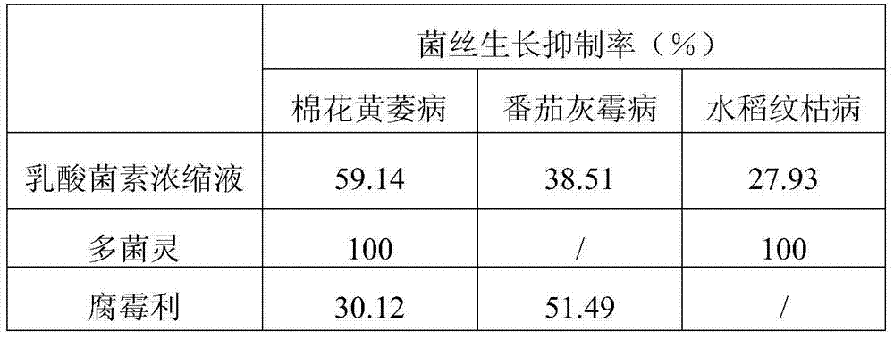 Lactobacillus fermentium and application of lactobacillus fermentium for preventing and treating plant fungal disease