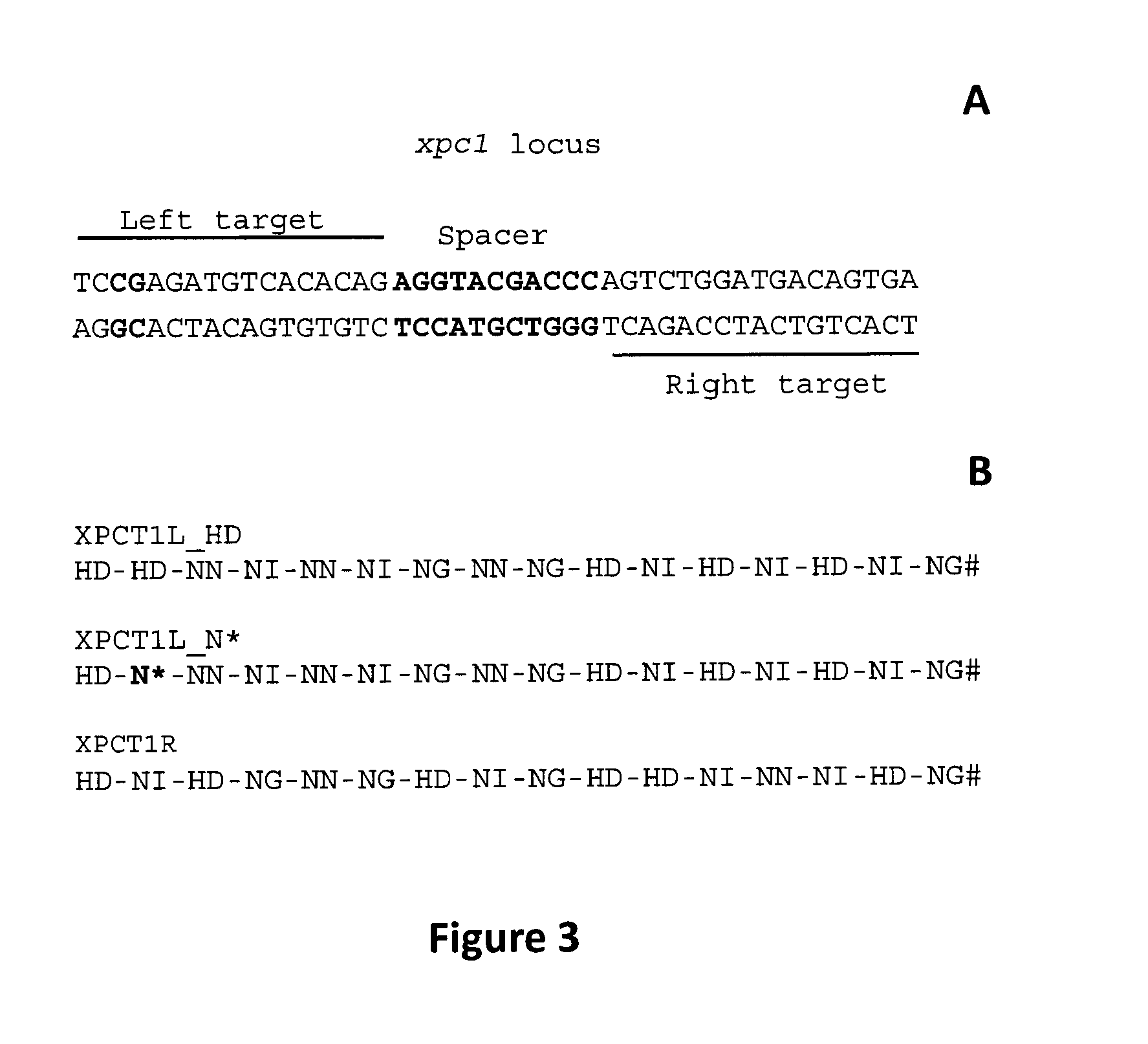 Method to overcome DNA chemical modifications sensitivity of engineered tale DNA binding domains
