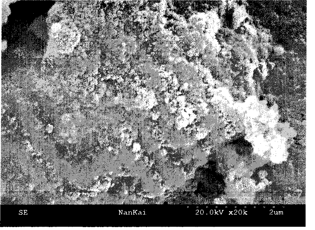 Immobilized penicillin acylated enzyme with silicon gel rubber as carrier and preparation method