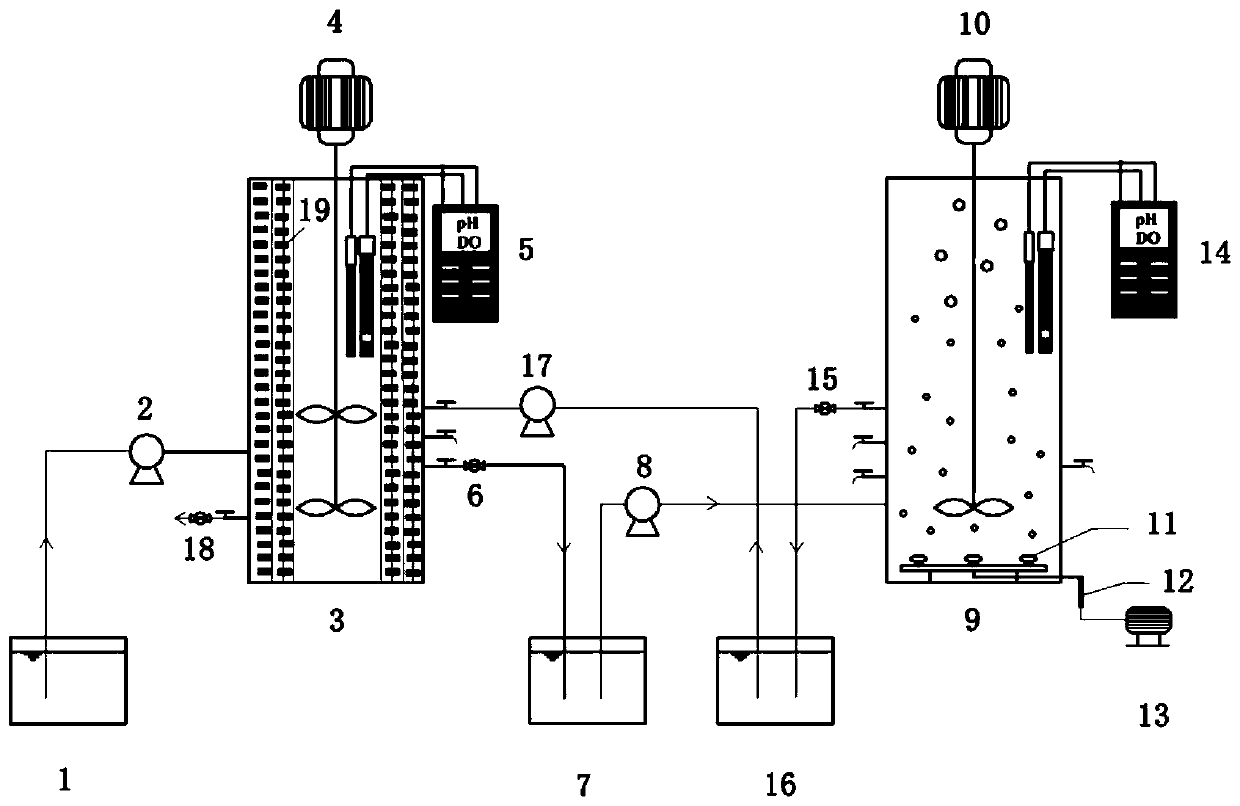 Device and method for treating urban domestic waste water based on short-distance denitrifyingdephosphorization coupling anaerobic ammonia oxidation