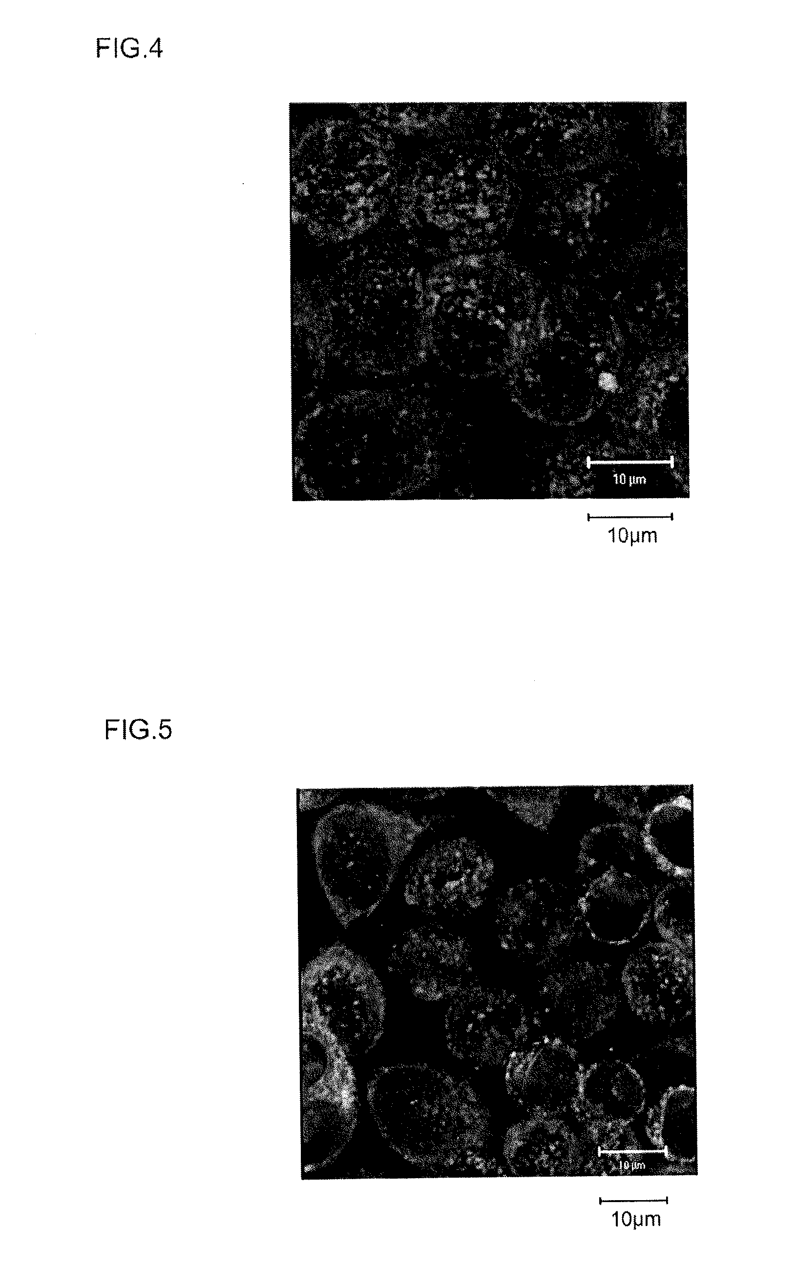 Method for promoting expression of calreticulin, and synthetic peptide for use in method for promoting expression of calreticulin
