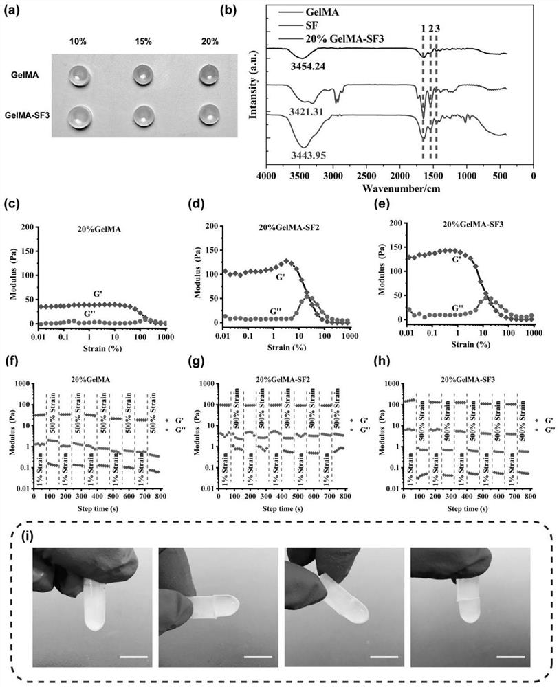 self-healing-tough-lipopeptide-surfactin-hydrogel-and-preparation