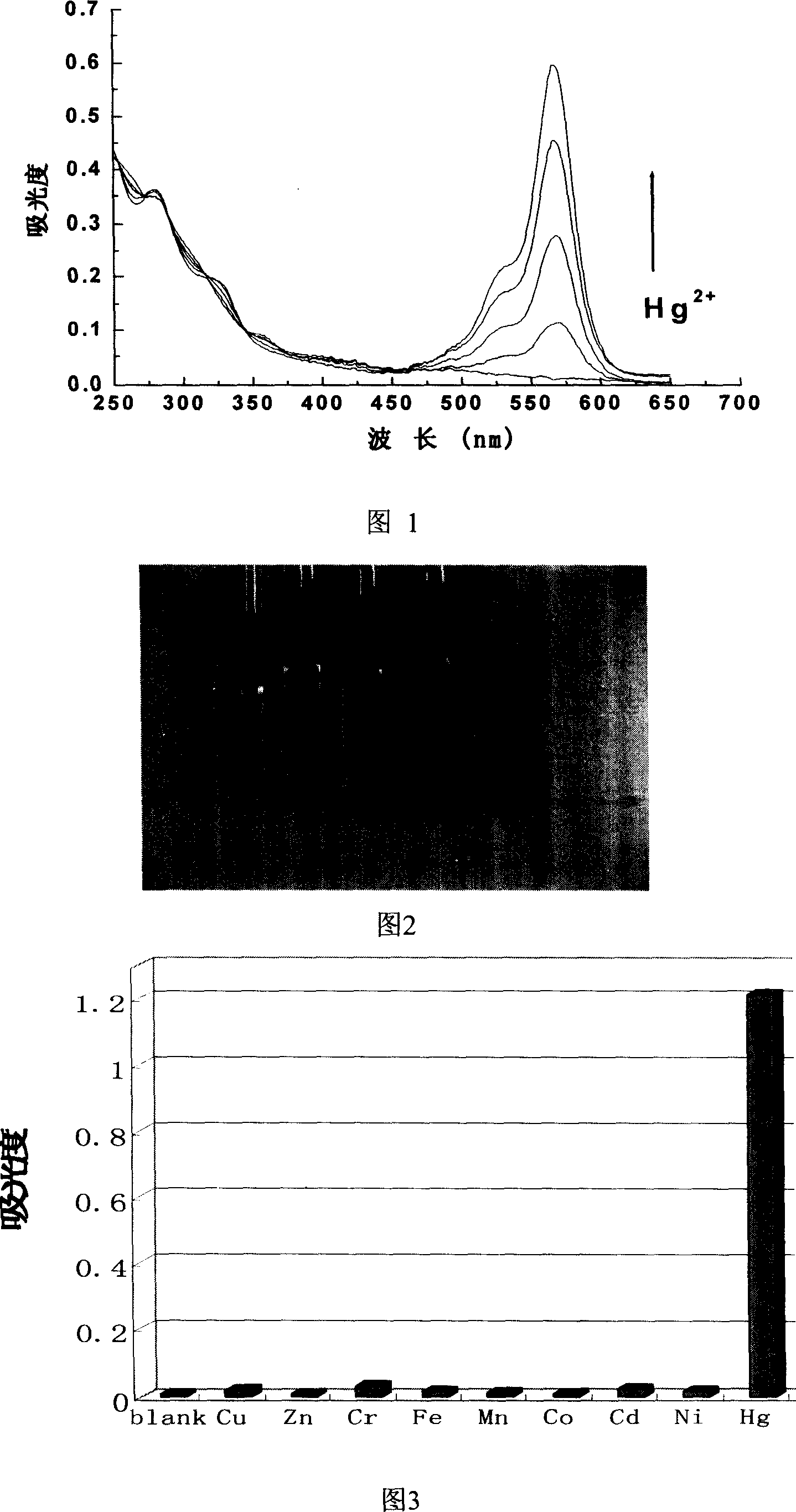 Reagent for detecting mercury ion in water and its preparation method