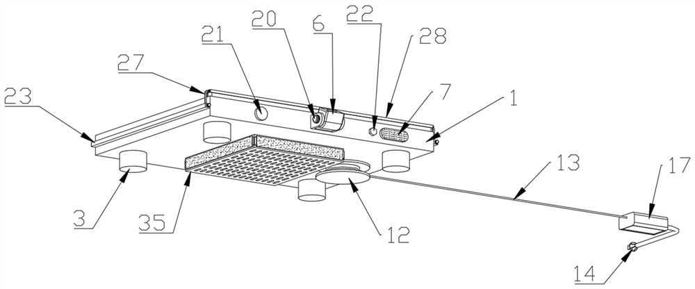 Intelligent human body electronic scale