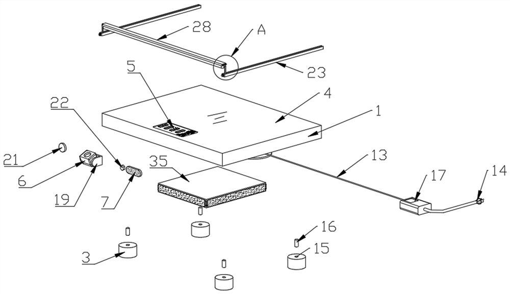 Intelligent human body electronic scale