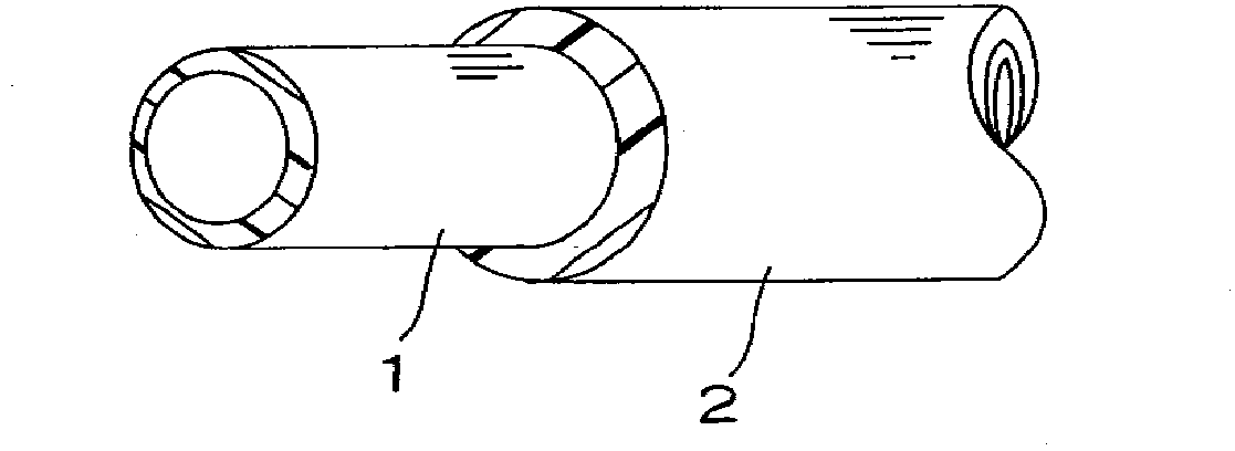 Method for producing hose with protector layer