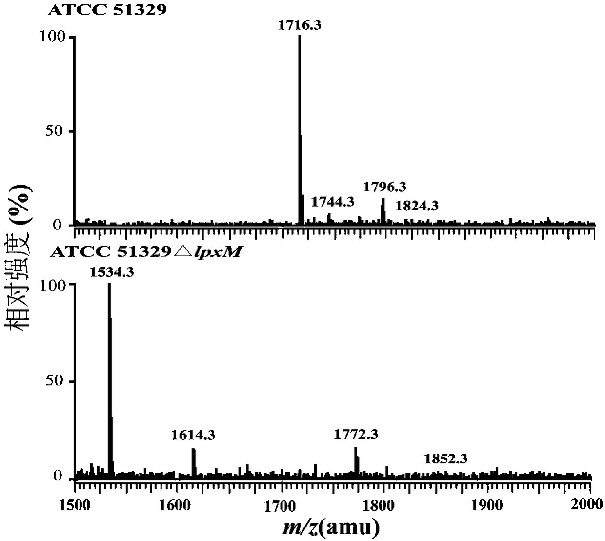 Two attenuated lipid A producing Cronobacter mutant strains and application thereof