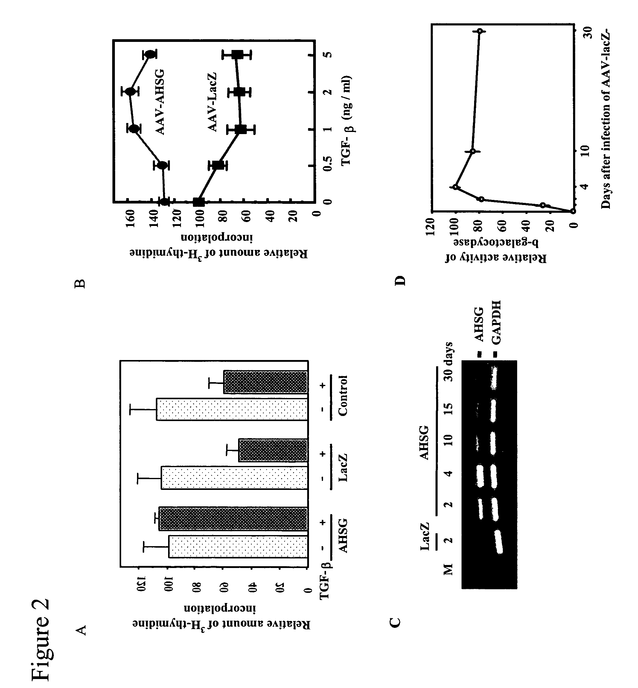 Compounds and methods for downregulating the effects of TGF-beta