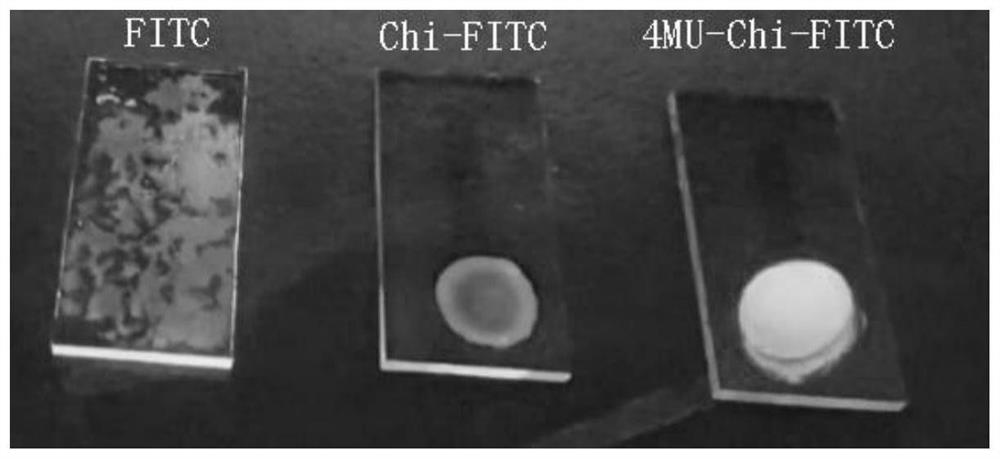 A kind of ferric ion photoelectric sensor and preparation method thereof based on ito