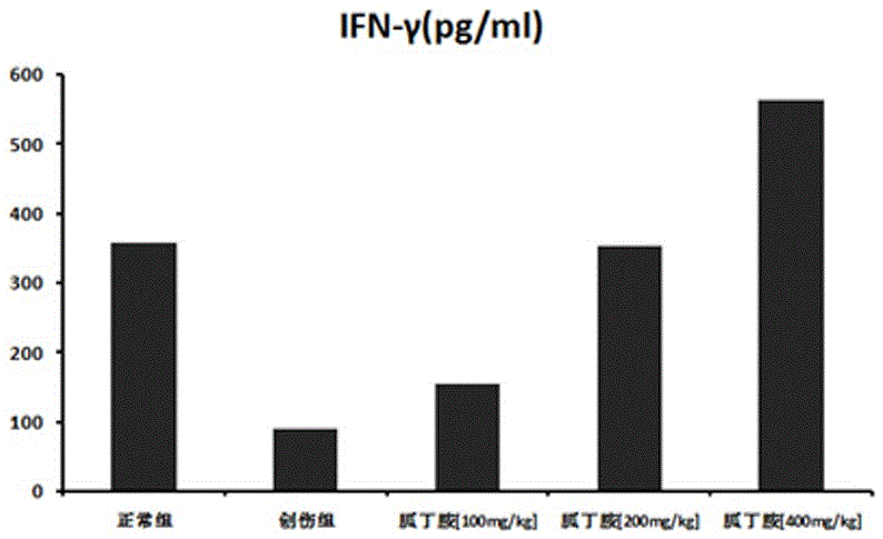 Agmatine is used for the purposes of preparing medicine for treating post-traumatic immunosuppression