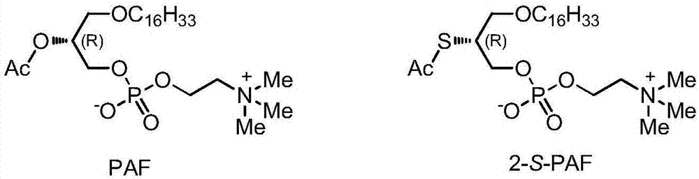 Platelet activating factor derivative and synthesis method thereof