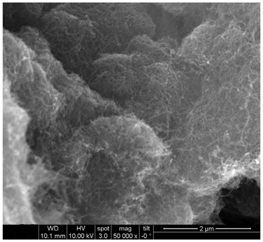 Carbon nanotube conductive paste and preparation method thereof and lithium ion battery