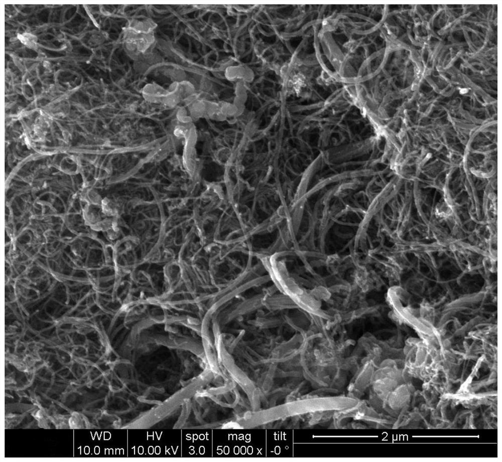 Carbon nanotube conductive paste and preparation method thereof and lithium ion battery