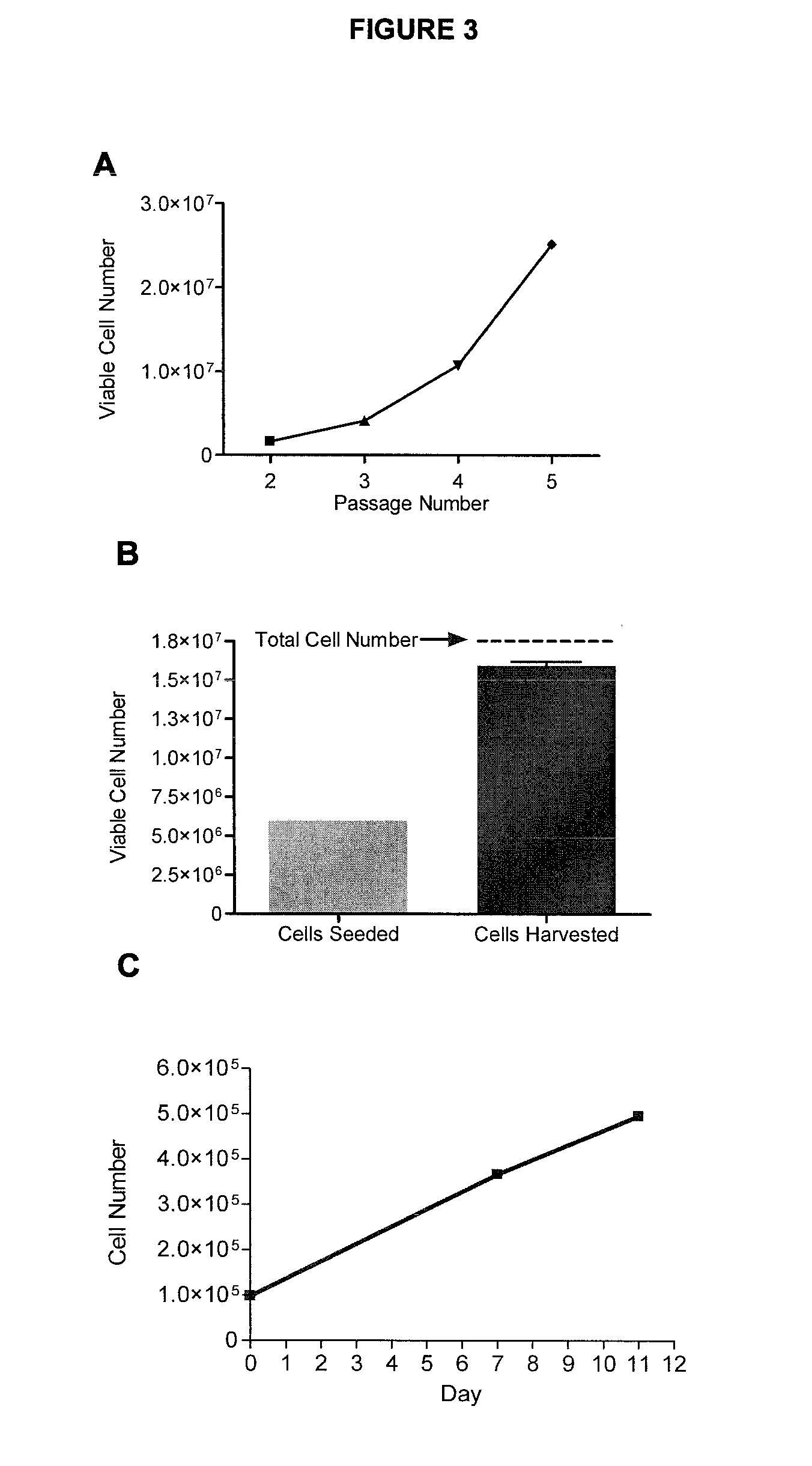 Method for stem cell culture and cells derived therefrom
