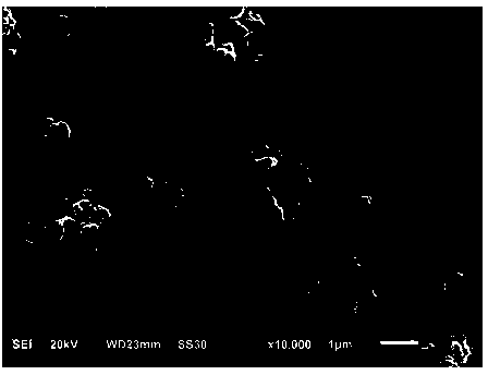 Method for preparing high-specific-surface-area cotton-shaped super-fine silver powder and silver powder prepared with method